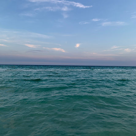 IMG_2953.jpeg
