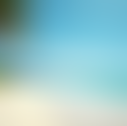 Top Zanzibar Tourism Trends for UK Travel Agencies