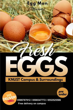 Fresh eggs