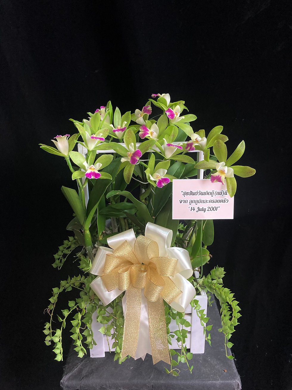 Cattleya basket 8" #C7