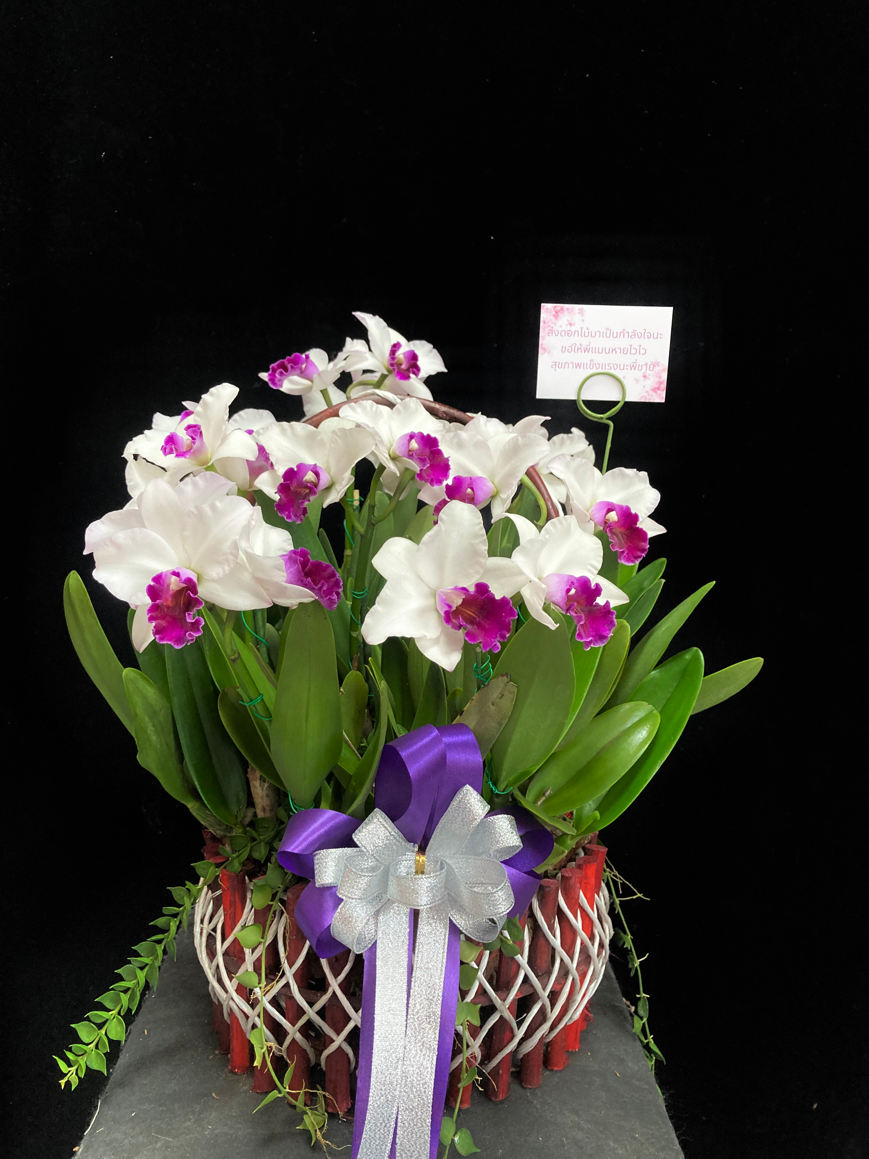Cattleya basket 8" #C1