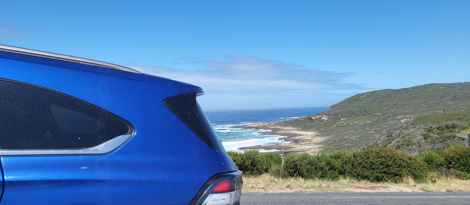 Plett history