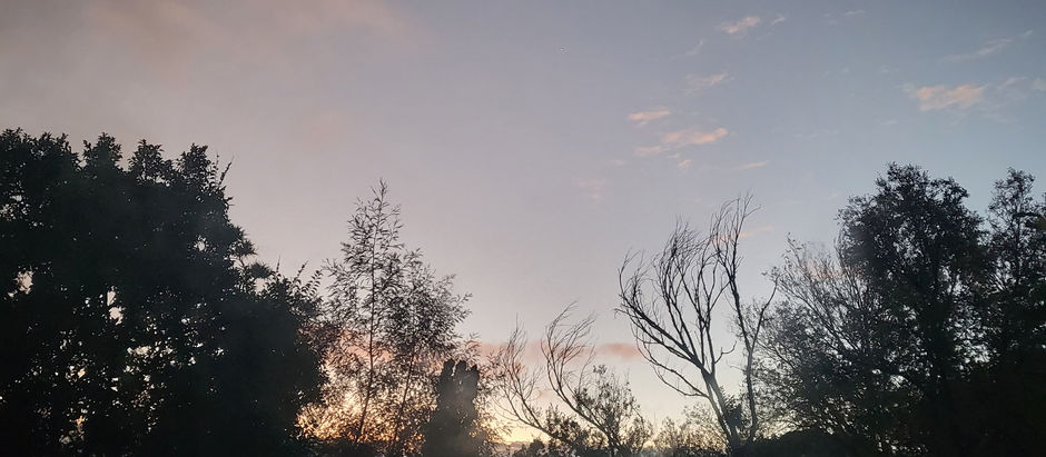 Sunny Monday
