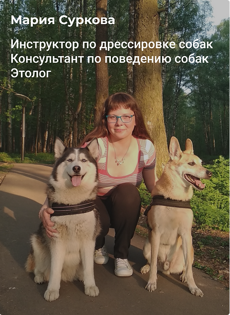 блок1 (1).png