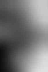 mariage moulin de trancart 86