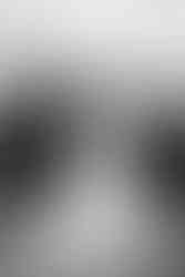 mariage au domaine de l'abbaye du pin à Béruges 86