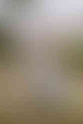 alexia jarry photographe poitiers