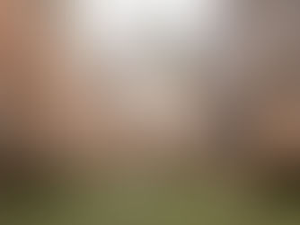 Mariage à l’Abbaye du Pin : Shooting d’Inspiration "Less Is More"