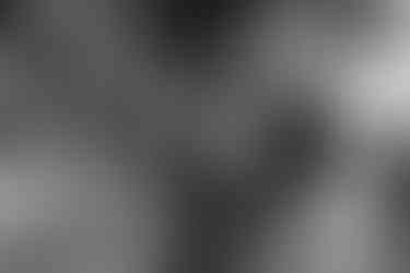 mariage moulin de trancart 86