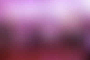 mariage au domaine de l'abbaye du pin à Béruges 86