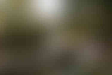 alexia jarry photographe poitiers