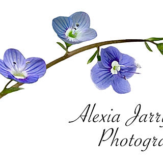 Photo du rédacteur: Alexia Jarry