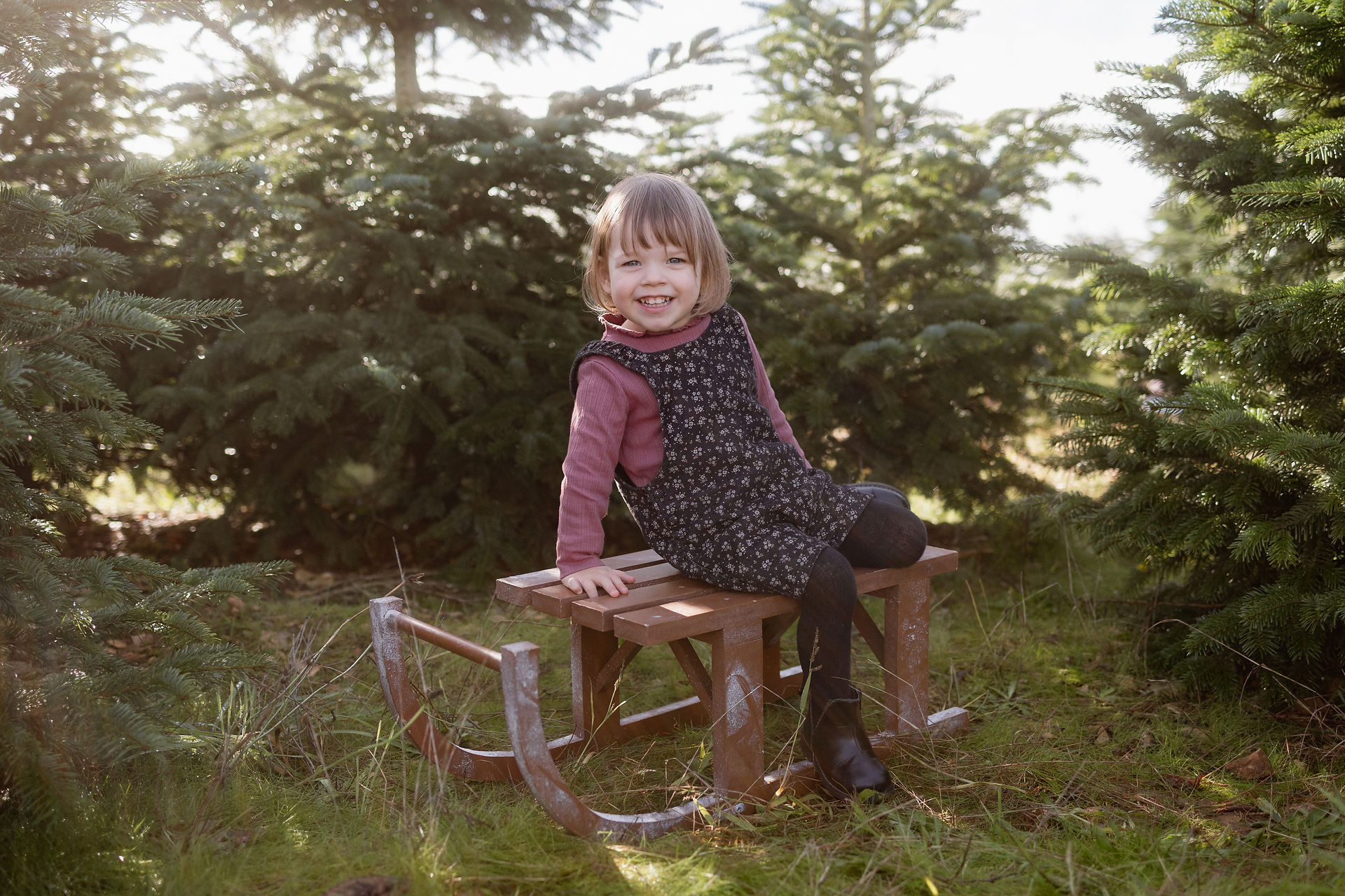 photographe noel poitiers