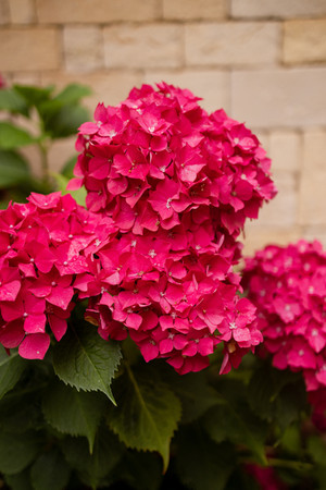 Séance multigénérationnelle