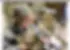 Laurence-Couvreur-Roux.webp