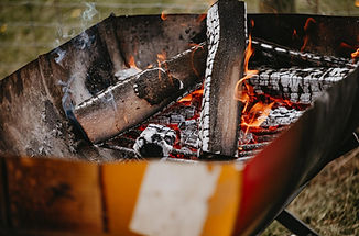 Martin Rütter Leña