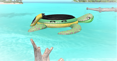 Vue Tropical V10_001 (2).png