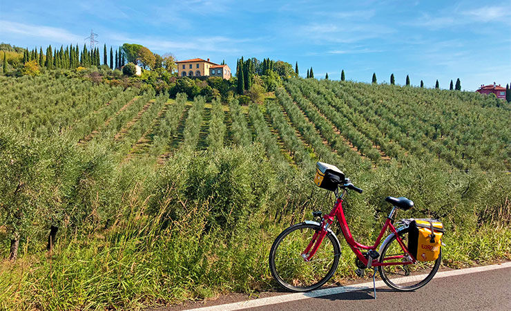 Bike ride