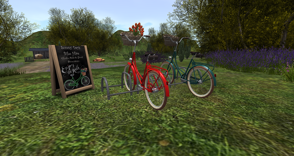 Bike ride