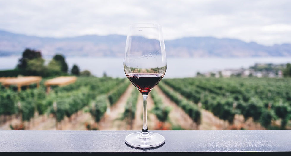 Winery lesson