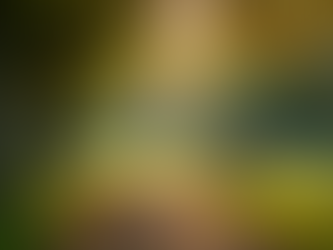 Navigating Trauma: How Politics Impact Our Mental Health