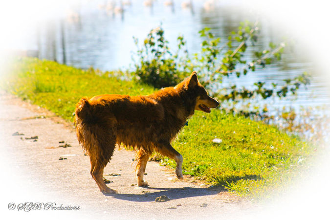 IMG_3403.jpg