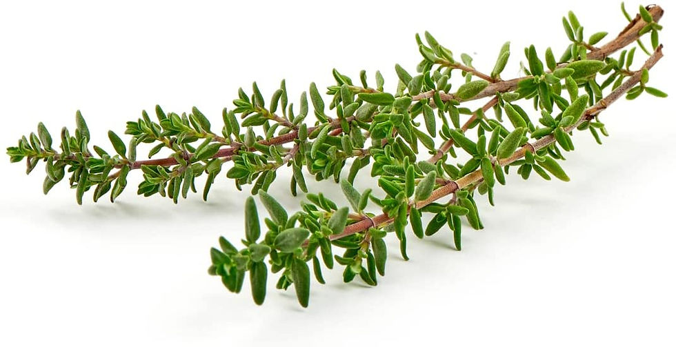 Thyme