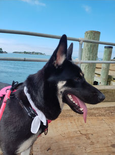 WHERE TO NOW, MOM!?!