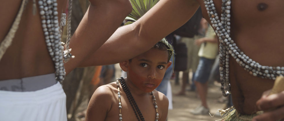 FANTASIA DE INDIO.jpg