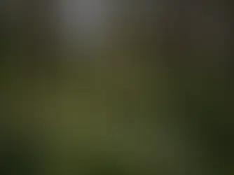 Effective and Eco-Friendly Logistic Solutions: Newmatec 2023