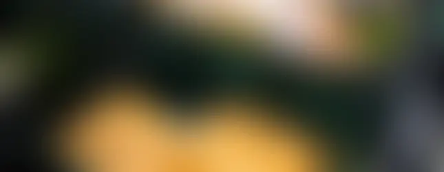 Automatizácia v sklade Lunys.