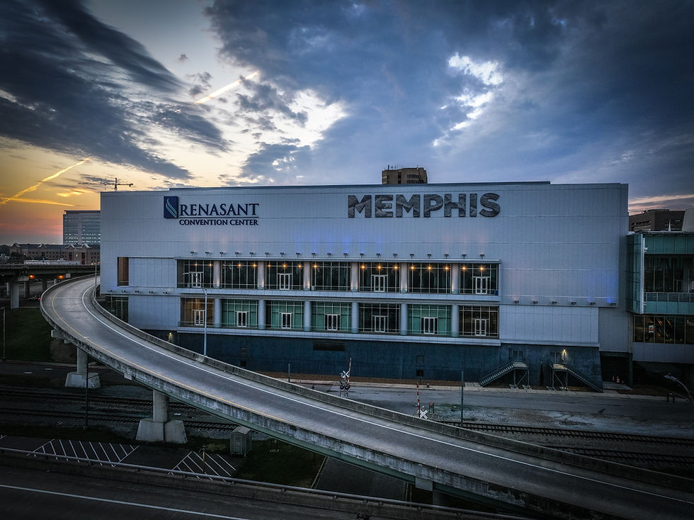 memphis, memphis lawn treatment