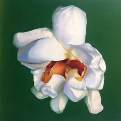 PopArt 37 smaller file