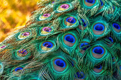 Bringt Farbe in den Alltag!