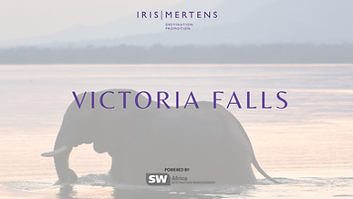 Victoria Falls - Iris Mertens - MICE.png
