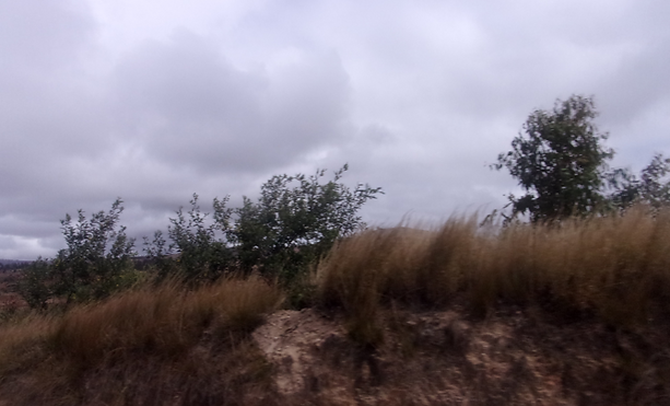 Capture_paysages_d'herbe_sèche.PNG
