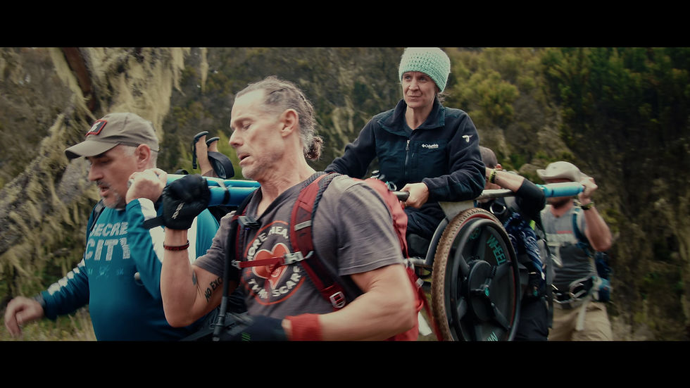 Meandering Scars l Charlotte