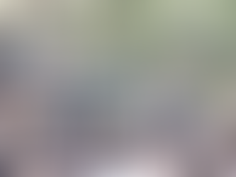 Blue-Green Algae basics