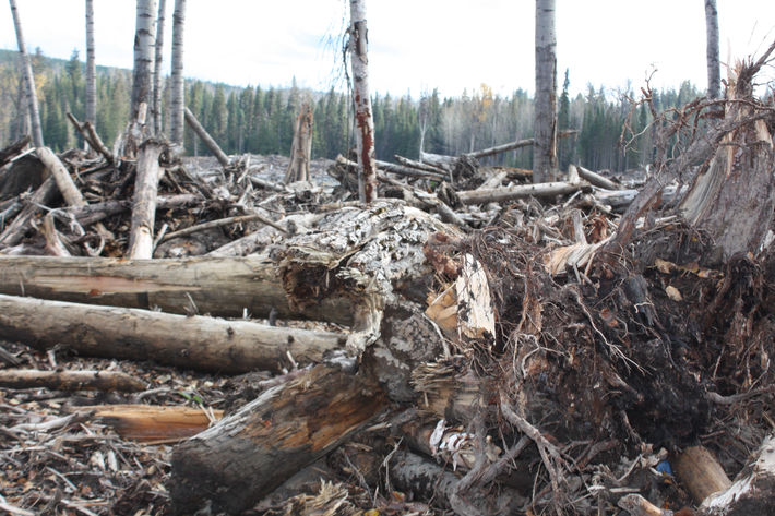 MOE Approves the Toxicity Testing Completed by MPMC