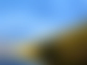 CCQL OBJECTION LETTER