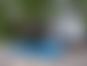 Man waving from RV door in forest camp, chairs on blue mat under awning. "Passport Ultra Lite" text on RV, festive lights hanging.