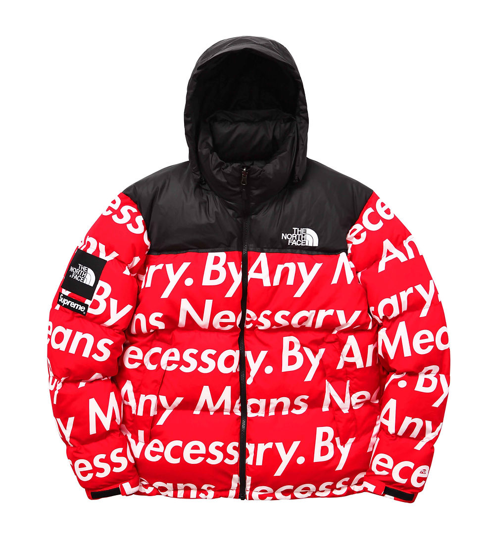 Thumbnail: Supreme x The North Face Nuptse Jacket