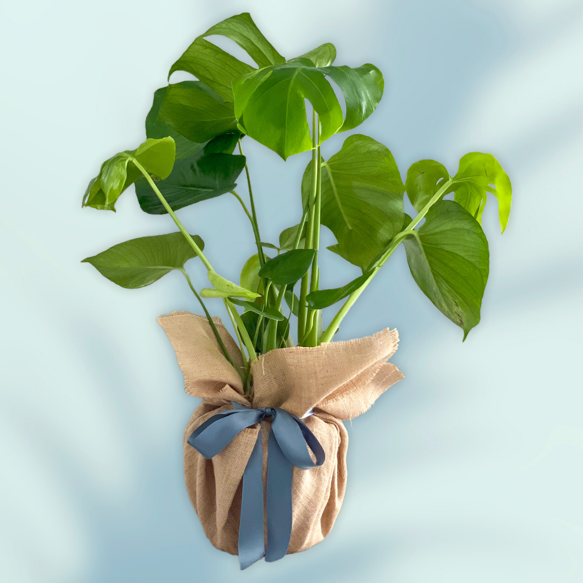 International Men's Day Gift