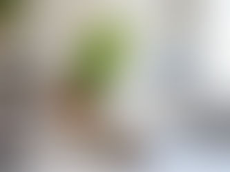 International Men's Day Gift