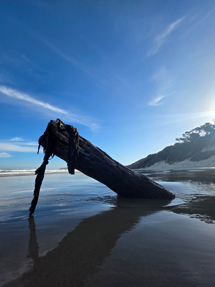 cape flying safari to remote beach destinations