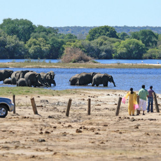 Dr Adam Cruise wildlife investigative journalist associated to The Bateleurs