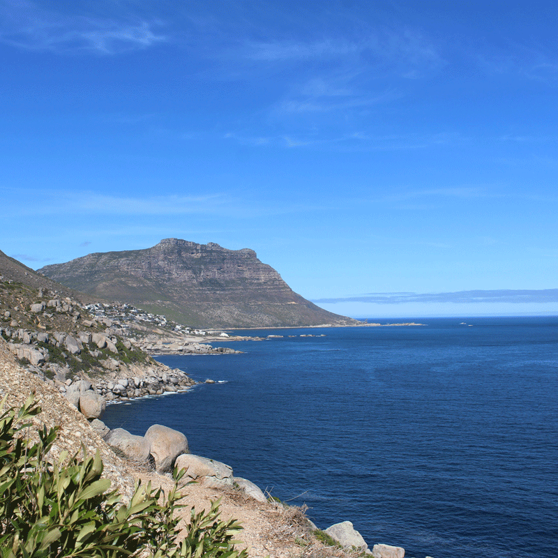 cape-car-tours-cape-town-cape-peninsula-tour