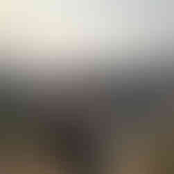 couple sitting on a ridge overlooking Pafuri Kruger National Park South Africa