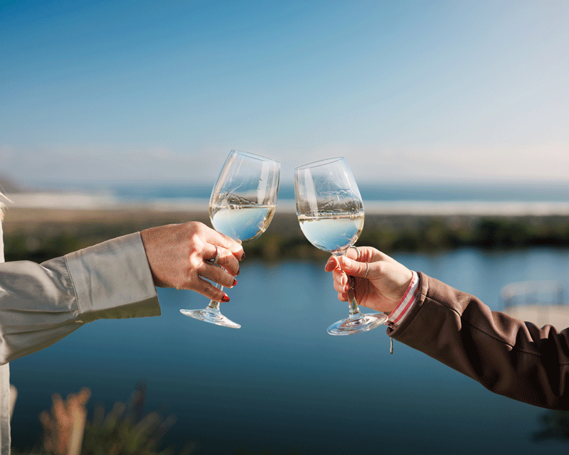 cape-car-tours-cape-town-constantia-wine-tasting-and-picnic.gif