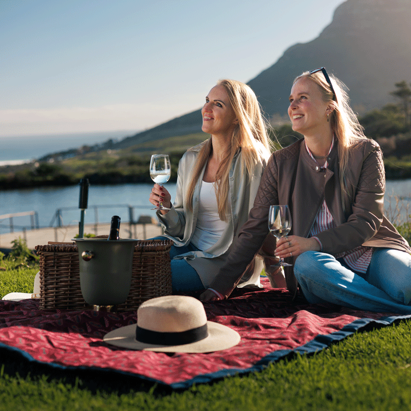 cape-car-tours-constantia-wine-and-picnic-tour